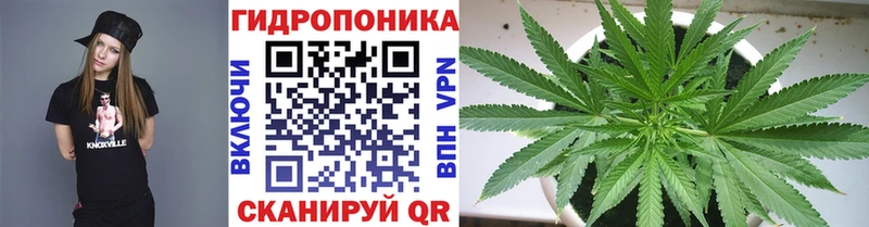 Бошки Шишки VHQ  Железногорск-Илимский 